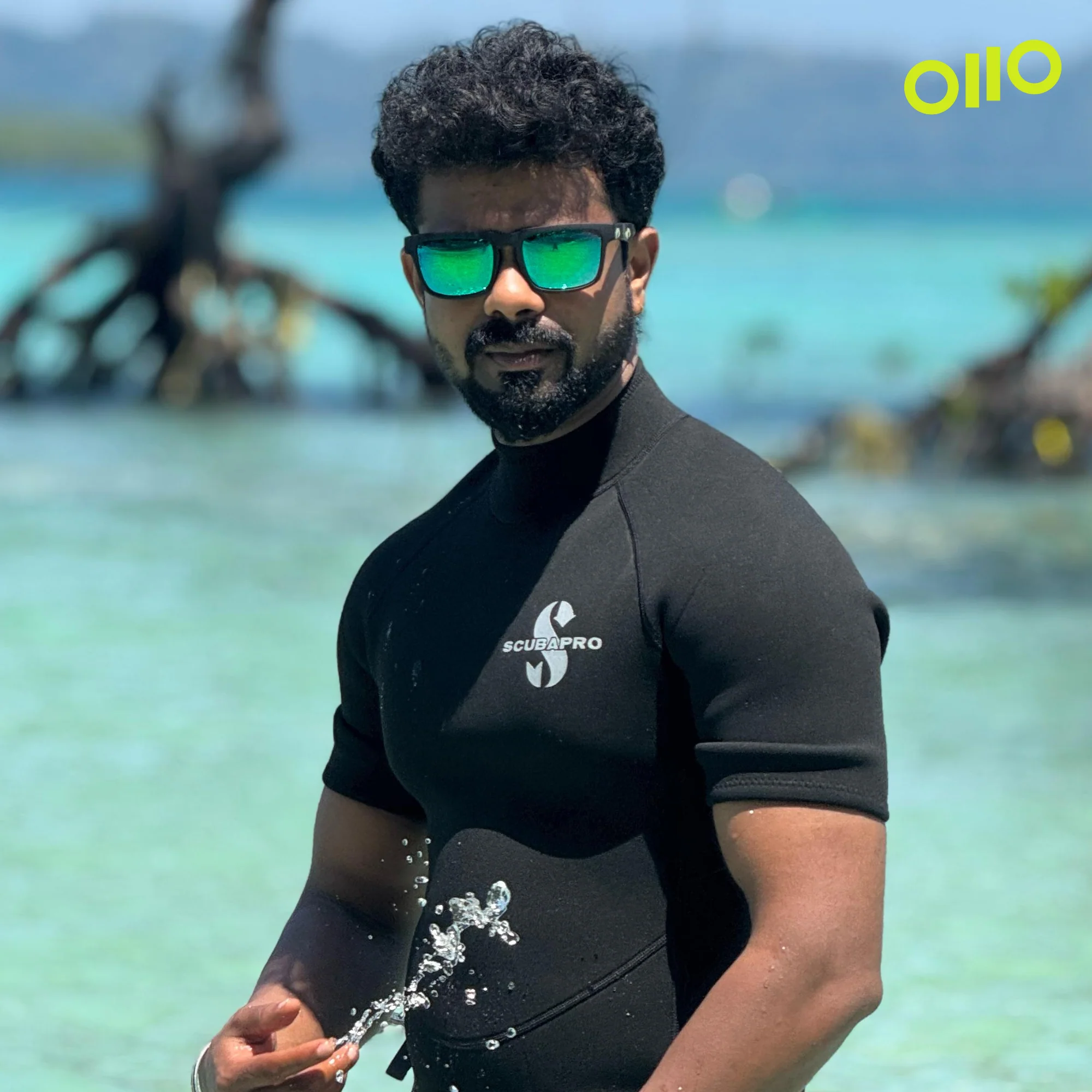 RV Camouflage - Image 4